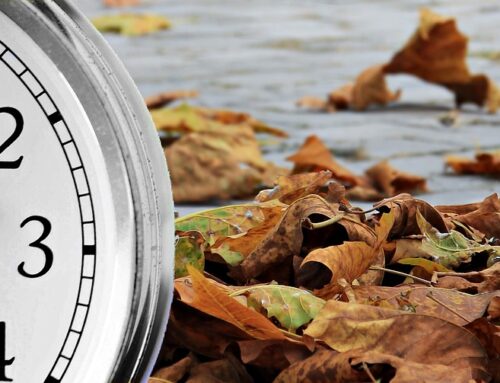 How to Calm Anxiety as the Seasons Change