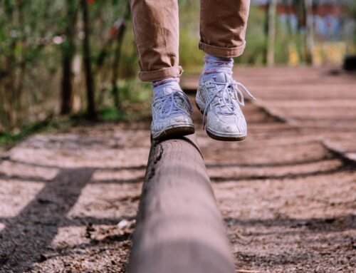 Finding Balance in Life’s Transitions