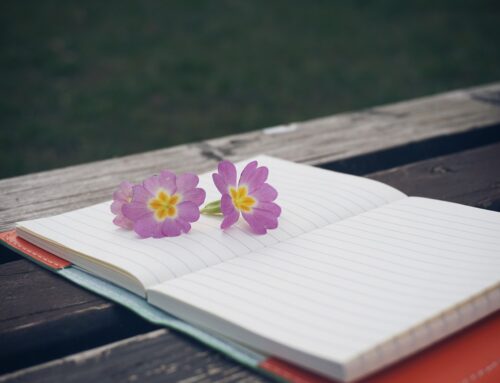 Journaling Prompts for Letting Go and Starting Fresh