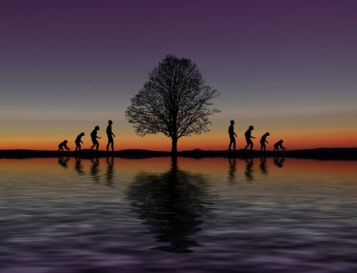 Embracing Change Without Losing Yourself