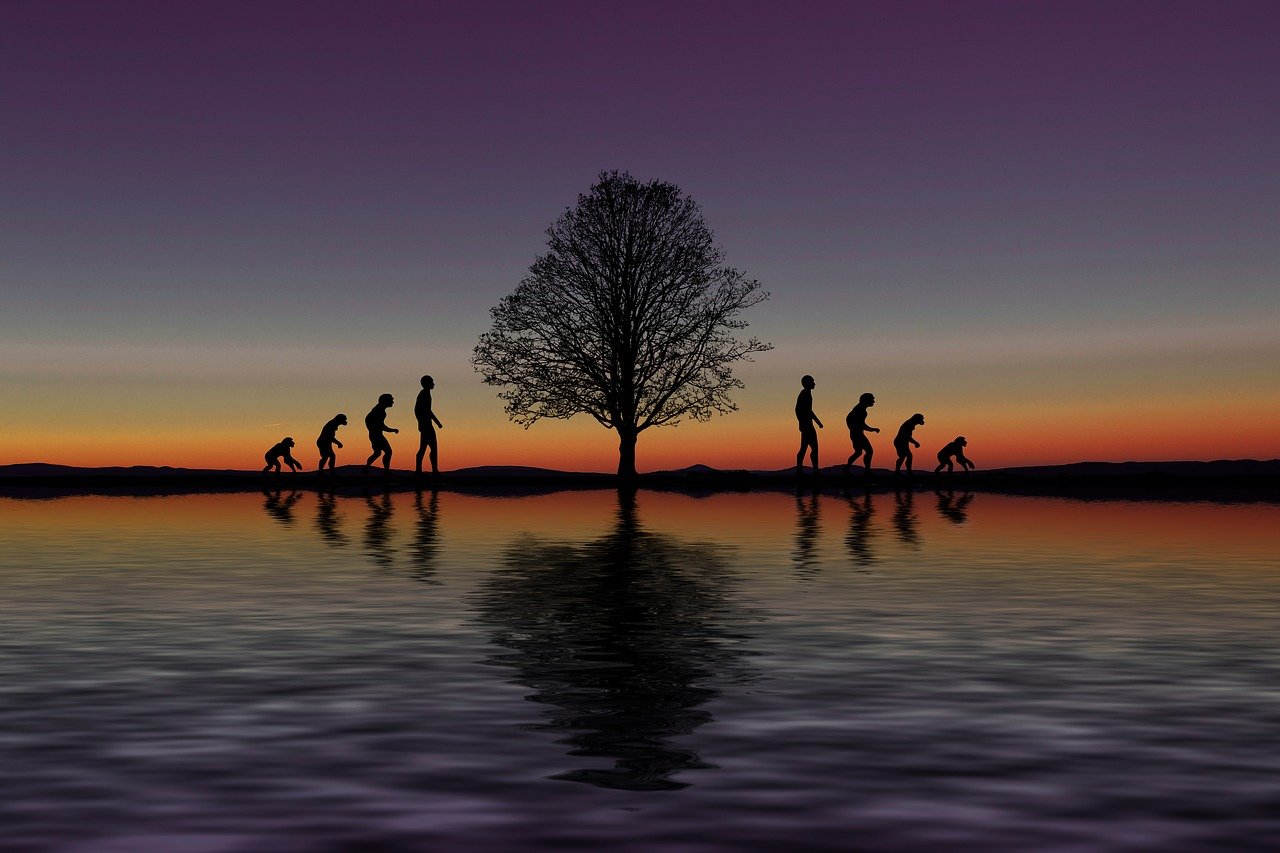 Embracing Change