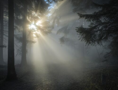 How to Create a Morning Ritual That Grounds You