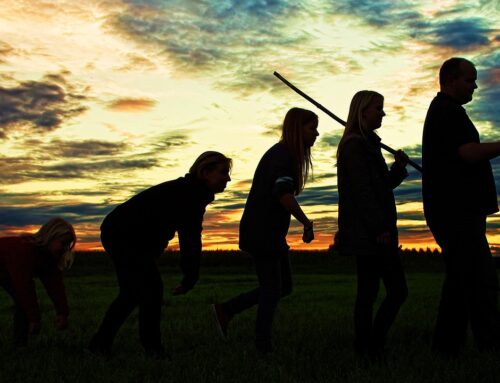 The Quiet Evolution of Middle Life